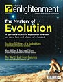 WIE 35 - The Mystery of Evolution